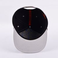 Pabrik grosir Logo kustom bordir topi Snapback olahraga ODM Model Hip Hop mode topi pinggir datar