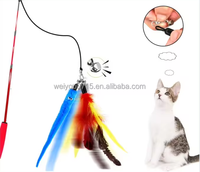 Desain baru hewan peliharaan interaktif warna-warni ukuran kustom dapat ditarik mainan kucing panjang bulu memancing batang Cacing
