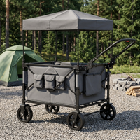 Poussette double de camping pour enfants de haute qualité, pliable, avec pare-soleil, grande capacité, chariot de pique-nique extérieur, roue simple en fer, OEM