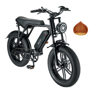 Vélo électrique 750w, 1000 W, double <span class=keywords><strong>batterie</strong></span>, vélo électrique, Cargo, famille, Pizza, vélo de restauration rapide, entrepôt Los Angeles - Product Image 4