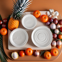 Assiettes de Table Jetables en Plastique PP de 9 Pouces, Modernes et Personnalisables pour la Maison, l'Extérieur, Restaurants, Fêtes, Pique-niques et Mariages