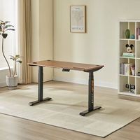 Meubles de bureau ergonomiques réglables en hauteur, bureau d'ordinateur électrique à moteur unique, table de jeu simple à hauteur réglable