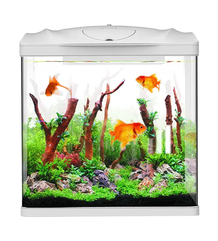 Sunsun HR Series Atacado Home Office Vidro Decorado Fish Tank Vidro Personalizado Aquário Ornamental Desktop Fish Tank