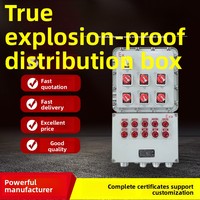 Boîte de distribution antidéflagrante IP66 BXK51 ZTZN, interrupteur d'alimentation pour éclairage, commande électrique, câblage d'instruments de contrôle