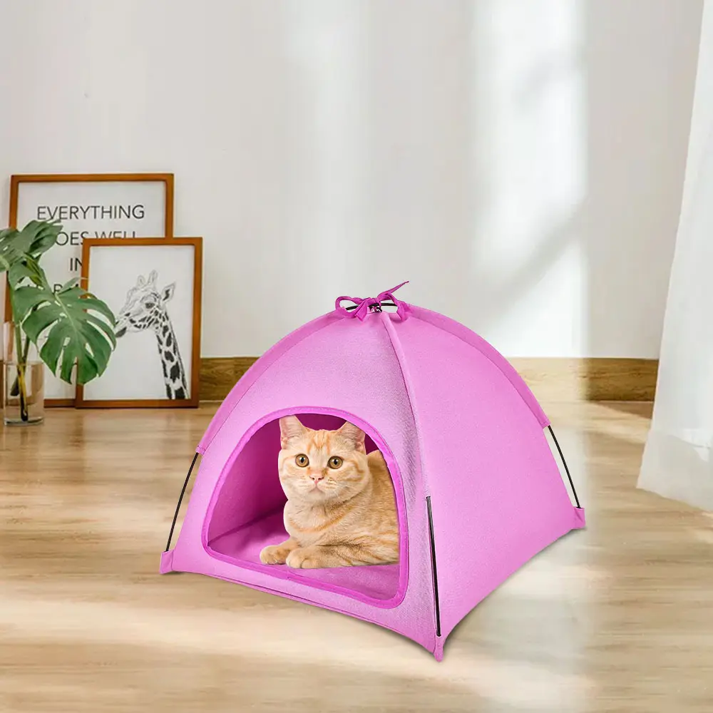 Nueva llegada Yurta de cuatro lados Púrpura Pop Up Instalación rápida Tienda de campamento para mascotas Tienda de campaña para gatos Camas para gatos para interiores