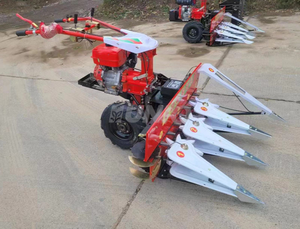 Tosaerba Multifunzionale a <span class=keywords><strong>Benzina</strong></span> di Piccole Dimensioni |   <span class=keywords><strong>Macchina</strong></span> Tagliatrice Portatile per Menta, Erba Medica, Grano e Erba - Product Image 2