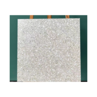 Carreaux de sol en céramique style moderne 60x60 en terrazzo pour revêtement mural intérieur pour salle de bain et cuisine