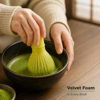 Fouet à matcha en résine Dingyue, agitateur de thé imitation, outil réutilisable pour la cérémonie du thé, accessoire pour la préparation du matcha pour débutants, vente en gros, fouet à thé