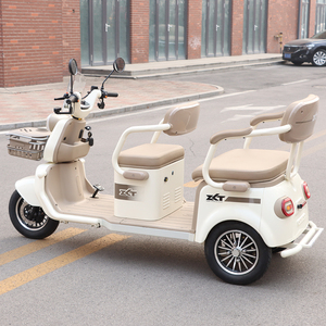 Tricycle électrique ZLT TP2C-E EEC L2e homologué pour la circulation en Allemagne, <span class=keywords><strong>France</strong></span>, <span class=keywords><strong>Espagne</strong></span> et sur le marché européen, facile à immatriculer - Product Image 2