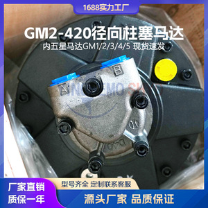 มอเตอร์ไฮดรอลิก GM2 GM2-420 แบบลูกสูบเรเดียล ความเร็วต่ำ แรงบิดสูง สำหรับเครื่องกว้านทางทะเล - Product Image 5