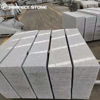 Vente en gros de carreaux de seuil de fenêtre en granit poli G603/G602, surface flambée et aiguisée au design chinois moderne pour villa et parc