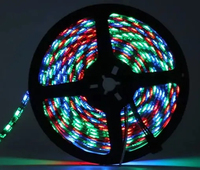 SMD 5050 Flexible DC12V 24v Adressable Rgb led bande Rgbic Ws2811 Ws2812b Led Light Strip Luces Smart Led Strip Light