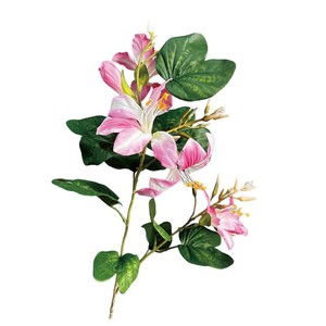 Flores Artificiales de Bauhinia Meng Jie, Rama Individual, Arreglo Floral de Seda de Poliéster para Decoración del Hogar, Exhibición de Bodas - Product Image 4