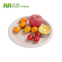Assiettes Rondes Biodégradables en Pulpe de Bagasse de Canne à Sucre de 8 Pouces pour Fêtes, Mariages, Anniversaires et Traiteur