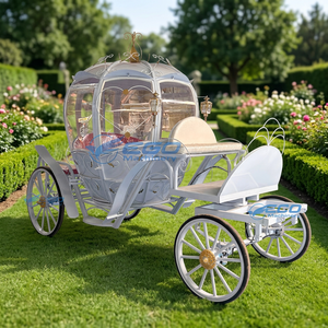 Carruaje de Boda Eléctrico Estilo Princesa Europea, Diseño Elegante de Calabaza, Precio Económico, Venta Directa de Fábrica - Product Image 1