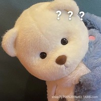 Juguete de Peluche Súper Suave y Adorable que se Transforma en un Oso de Peluche con Forma de Corazón para Niñas, Regalo de Cumpleaños con Forro de Malla, Juguete de Peluche Personalizado