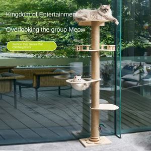 Grenz überschreiten der Saugnapfst änder <span class=keywords><strong>Cat</strong></span> Climbing <span class=keywords><strong>Tree</strong></span> Space Kapsel Kratz baum Kratz säule Massivholz pedal <span class=keywords><strong>Cat</strong></span> Möbel - Product Image 2