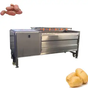 Actory-máquina de lavado y blanqueamiento de frutas y verduras, directa, alta calidad