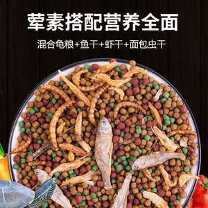 Alimento para Tortugas, Alto en Proteínas, Nutritivo, 1.0 kg, para Tortugas Juveniles, Tortugas Caimán, Tortugas Amarillas con Borde Amarillo, Tortugas de Caja - Product Image 3