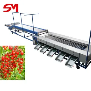 Hoge Werk Efficiency Elektronische Asperges Fruit Sorteerders Sorter