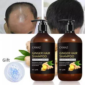 wholesale Anit-Hair Loss ginger Shampoo And Conditioner Care Set ginger regrowth hair shampoo for men and women