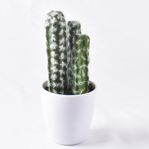 Piante artificiali Mini <span class=keywords><strong>Cactus</strong></span> miste ad alta simulazione verde esterno vero tocco - Product Image 6