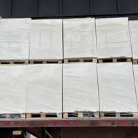 Papier cartonné Bristol américain blanc couché C1S FBB 250g 300g 70*100CM