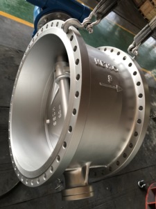 Vanne papillon actionnée de grand diamètre DN1600, corps WCB double excentrique pour les infrastructures hydrauliques - Product Image 6
