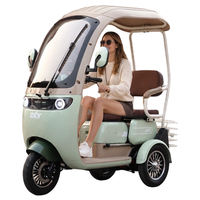 Tricycles électriques Tuk Tuk pour adultes, tricycles électriques avec moteur 60V20AH 60V32AH 1000W, véhicule électrique à trois roues