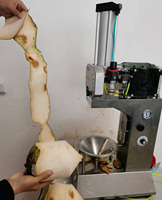 Multifunctionele Automatische Kokosschiller Kokosnoot Buitenste Schelp Verwijderen Machine Voor Snelle Verwerking En Verpakking
