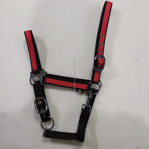 Caballo de nailon Halter con ajuste fuerte de Metal, disponible en todos los tamaños y colores, fabricante en la India - Product Image 4