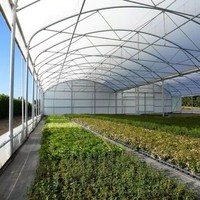 Serre commerciale multi-travées en acier galvanisé à chaud avec couverture en film, grande taille 8m/10m/12m, pour système hydroponique