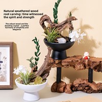 Pierre brute d'améthyste naturelle, bois de yew, bois pétrifié, os de dragon, pour aménagement paysager, micro-paysage, ornements d'aromathérapie sans flamme