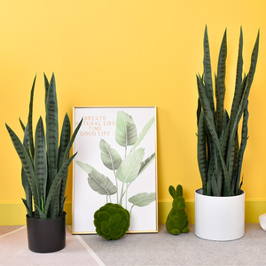 Trang Trí Nội Thất Vimineous Màu Xanh Lá Cây Cây Nhân Tạo Rắn Cây Nhỏ Trang Trí Sansevieria Cây Với Lá Tự Nhiên - Product Image 5