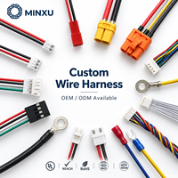 Harnais de câblage personnalisé 22-28AWG, assemblage de câbles avec connecteurs mâles et femelles 2-12 broches, faisceau de câblage électrique OEM