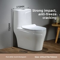 Nouvel ensemble de cuvettes de toilettes en céramique colorée gris luxe léger avec siphon anti-odeur pour salle de bain