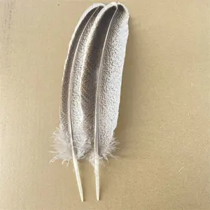 Crafts Turkey Pheasant Owl feather decoration Feather accessories Carnival
