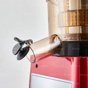 Extracteur <span class=keywords><strong>de</strong></span> jus à vis à froid à <span class=keywords><strong>prix</strong></span> abordable, grande goulotte d'alimentation, pour jus <span class=keywords><strong>de</strong></span> carotte, lait végétal, gingembre et autres légumes - Product Image 5