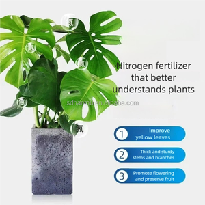 Fertilizzante al Solfato di Ammonio di Alta Qualità, 21% Azoto, Granuli 50kg, Grado Agricolo <span class=keywords><strong>per</strong></span> <span class=keywords><strong>Piante</strong></span> e Colture - Product Image 6