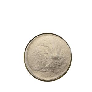 Gomitas de bromelina OEM Extracto de piña 50000U/G bromelina en polvo bromelina - Product Image 2