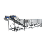 Automatische Fruit-En Groentewasmachine Met Bubbeltechnologie