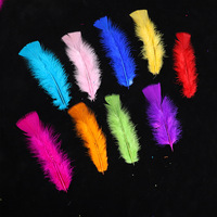 Plumes de dinde colorées plates 12-18cm pour la fabrication artisanale de baguettes à chat, attrape-rêves, décorations, chaussures et chapeaux de la ville de Lu'an