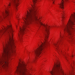 Suministros para Fiestas de Cumpleaños, Alquiler de Cabinas de <span class=keywords><strong>Fotos</strong></span>, Pared de Flores de 8 pies x 8 pies, Telones de Fondo Enrollables de Plumas de Avestruz Blancas para Eventos - Product Image 4