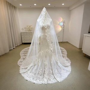Robes de mariée sirène européennes personnalisées, sexy, avec dentelle scintillante et corset, Lsjj35 - Product Image 1