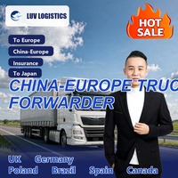 Service de transport routier le moins cher de Chine vers l'Europe Allemagne Transfrontalier DDP 12-18 jours Transitaire