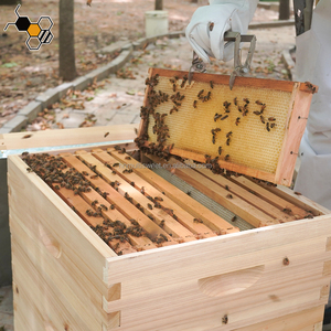 <span class=keywords><strong>Colmenas</strong></span> <span class=keywords><strong>Langstroth</strong></span> de 2 Niveles para Apicultura, Cajas para Abejas con Marcos y Bases - Product Image 2