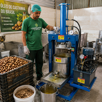 Presse hydraulique pour le traitement du manioc et la production de garri, avec moteur, équipement de fabrication de garri pour l'Afrique