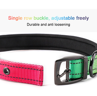 Conception personnalisée Collier de chien à lumière LED Rechargeable USB Sécurité nocturne Clignotant Lueur dans le noir Collier de chien à lumière
