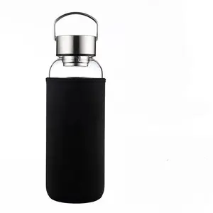 2023 high quality borosilicate Portable Eco Friendly Glass Water Bottle with Tea Infuser and Handle lid