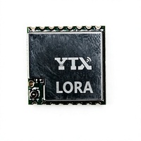 Module LoRa 433 MHz/868 MHz/915 MHz
